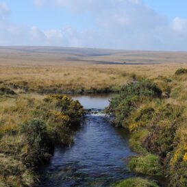 Family Workshop with Moor to Sea Music Collective