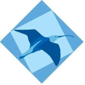 Curledge Street Academy ONE NIGHT ONLY