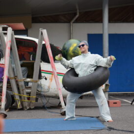 The Life Cycle of the Devon Red Legged Robber Fly